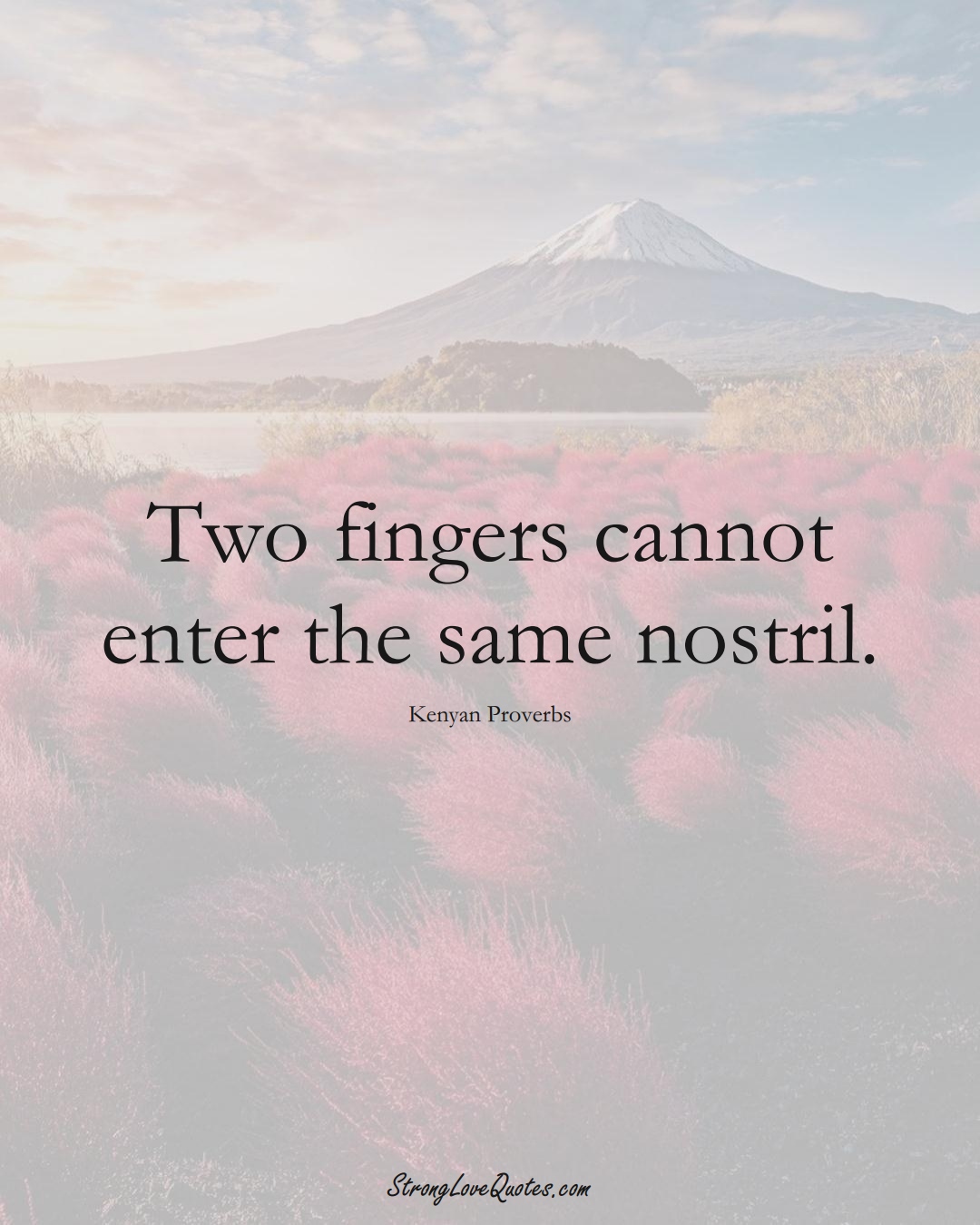 Two fingers cannot enter the same nostril. (Kenyan Sayings);  #AfricanSayings