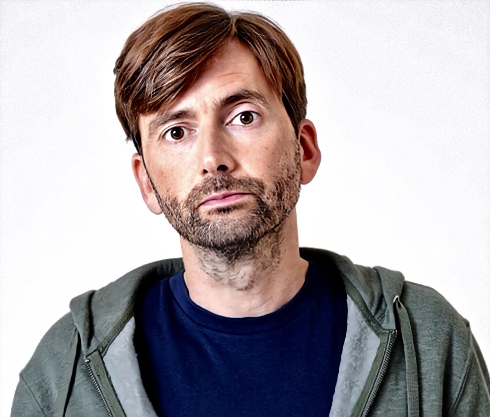 David tennant new series
