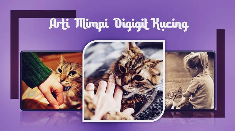 Arti mimpi digigit kucing