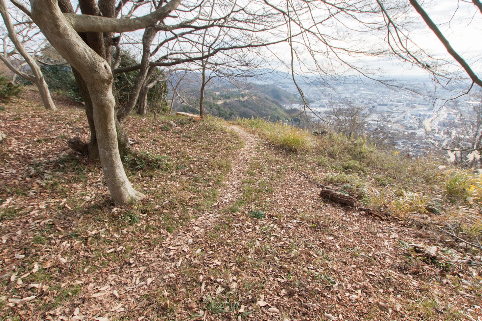 Sawayama Castle Castle undeserved for Mitsunari Japan Castle Explorer