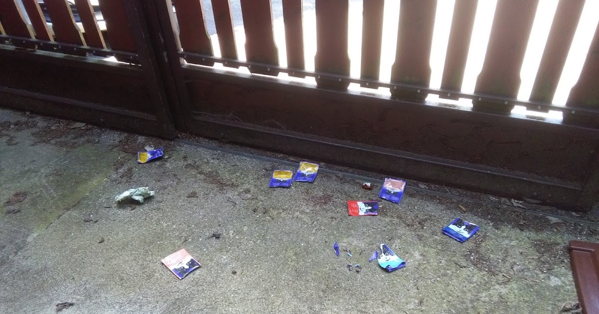 Die Lebensqualitat Schwindet Immer Mehr