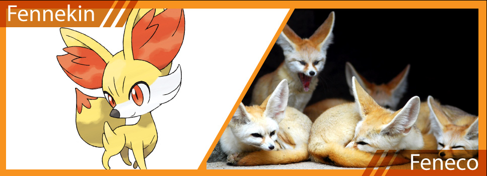 Pokémons da vida real? Conheça os personagens baseados em animais!, Biologia Aplicada