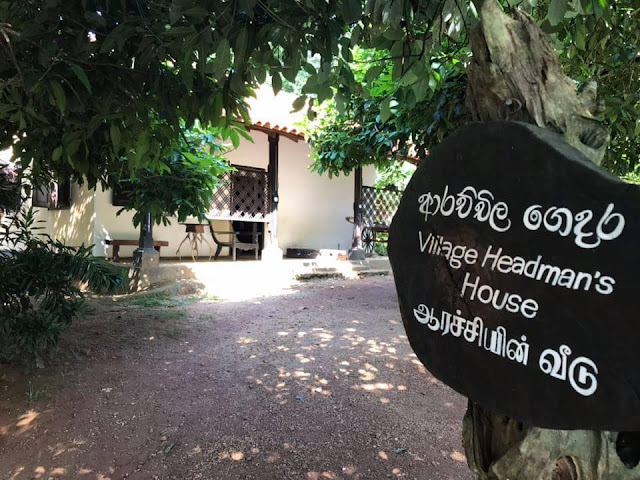 ඉපැරණි ගම බලන්න යමුද ❤️🌱🌸🍃🍄🎋 (Let's Go See The Ancient Village) - Your Choice Way