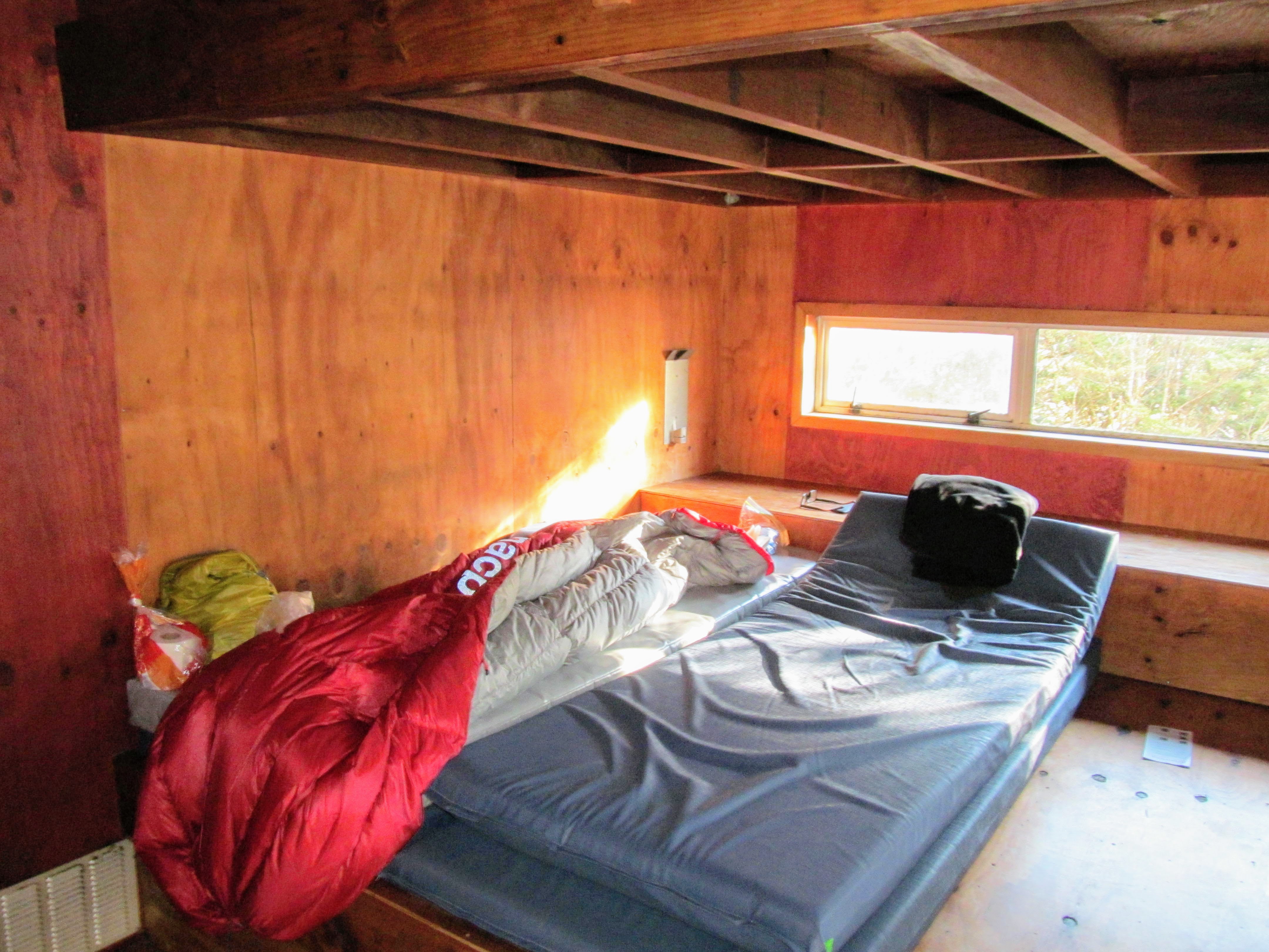 Tramping in the New Zealand backcountry NZ Bush Adventures My