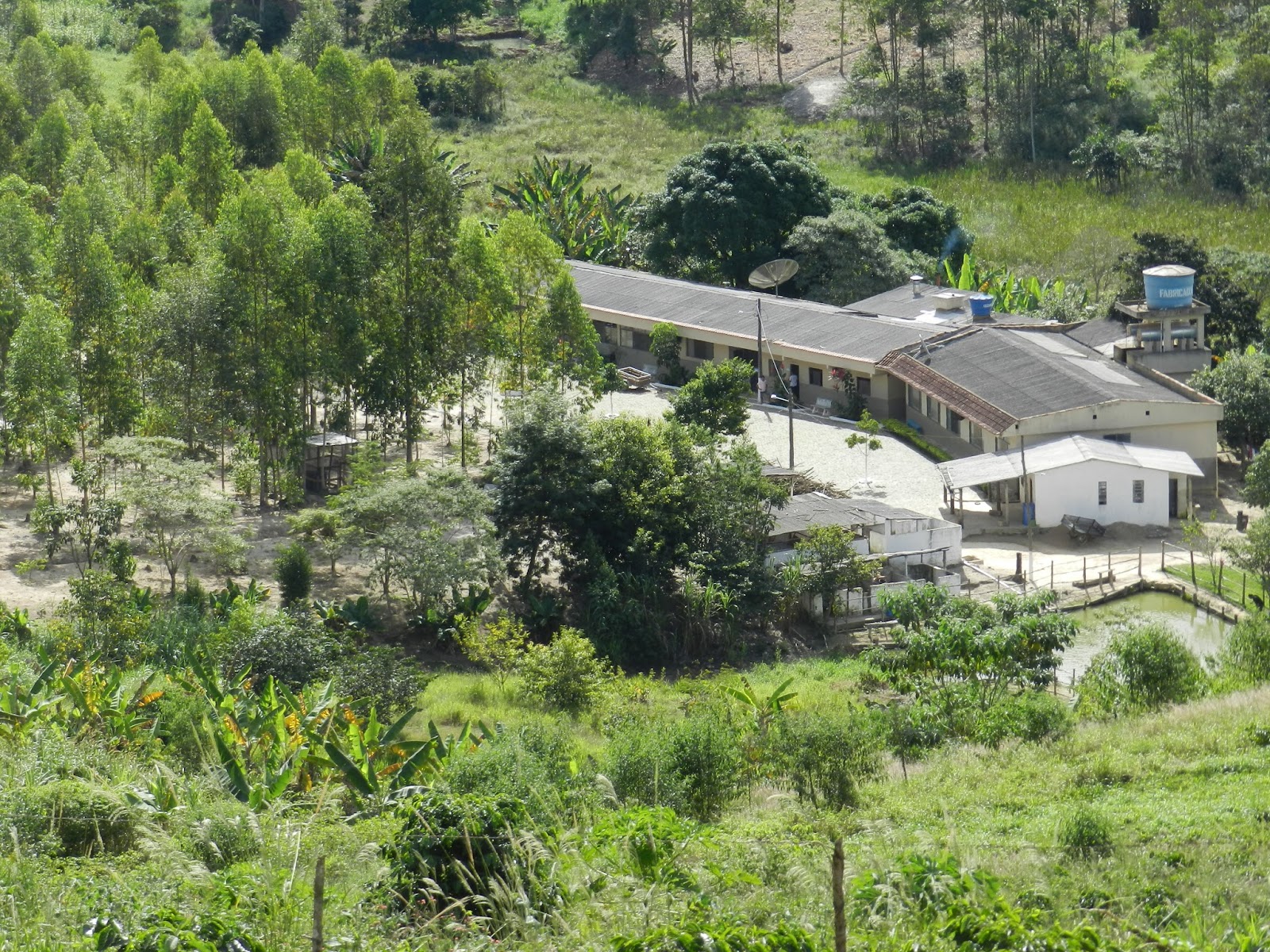 Blog Da Colunista Tania Gusman Vai Acontecer Show Da Vida Com Pe Alessandro Campos Em Muriae blog da colunista tania gusman vai