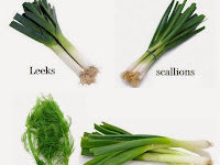 How to Re-Grow Leeks, Scallions, Spring Onions and Fennel from Kitchen Scraps