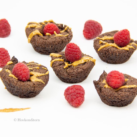 Mini Peanut Butter Chocolate Protein Muffins