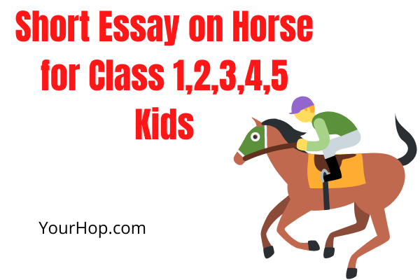 essay on horse race in english