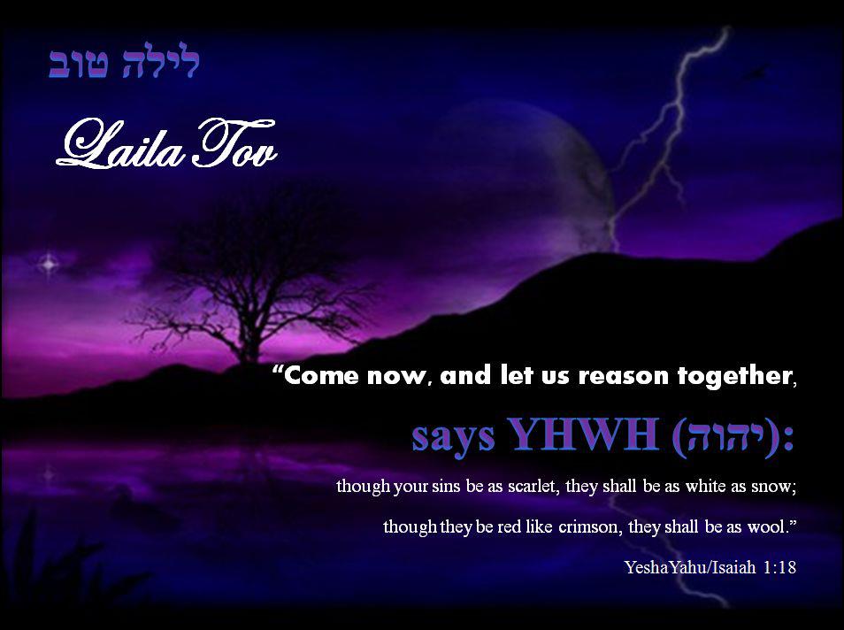 Amber Laila Tov