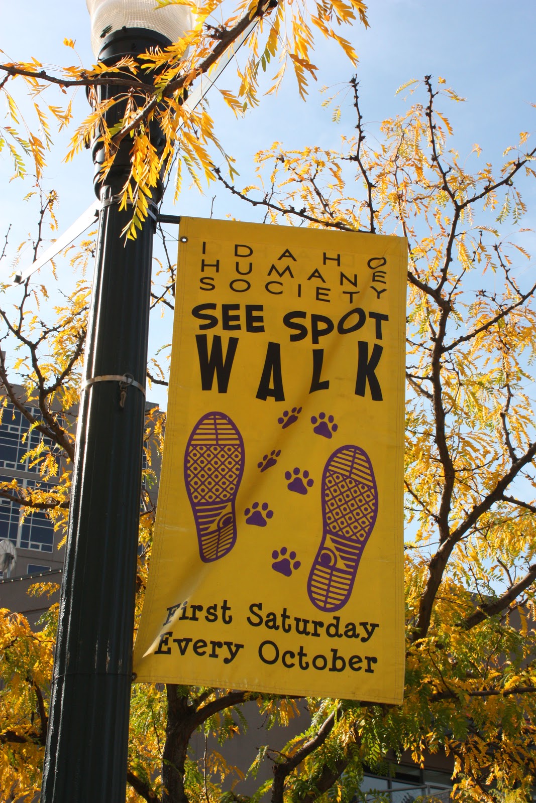 Boise Daily Photo See Spot Walk