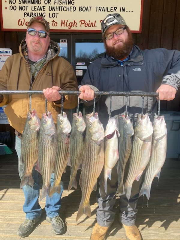 Striper Report Lake Anna Fishing is Hot! Jim Hemby Guide Service