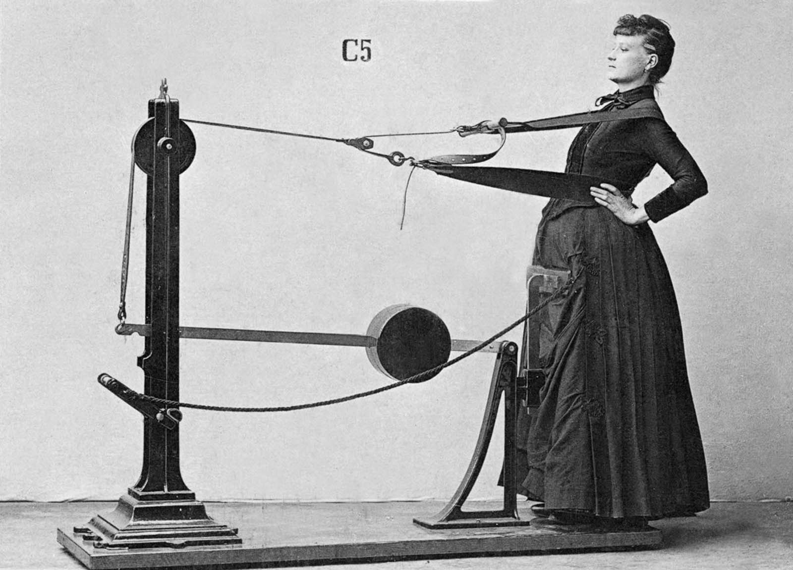 first gym machines zander