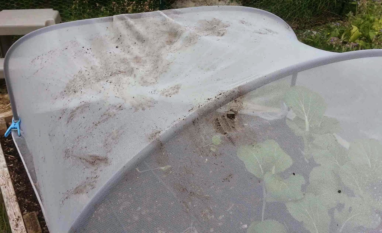 Diatomaceous Earth Bed Bug Killer Exposure To Humans Diatomaceous Earth Bed Bug Killer Exposure To Humans