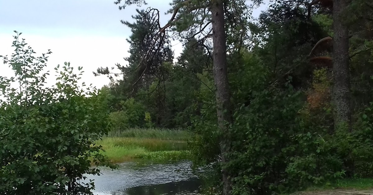 Que Fait Un Indien Quand Il Tombe à L'eau Chroniques de Pereslavl: Été indien?