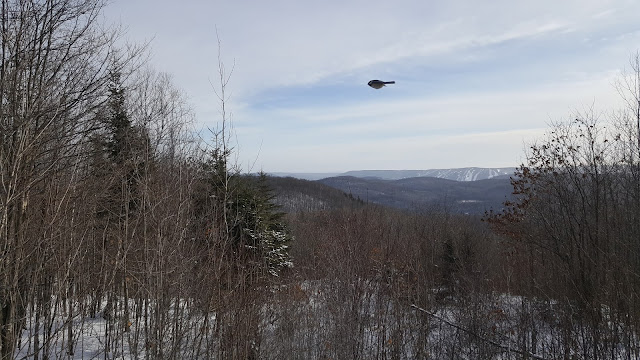 Au sommet du Mont Loup Garou