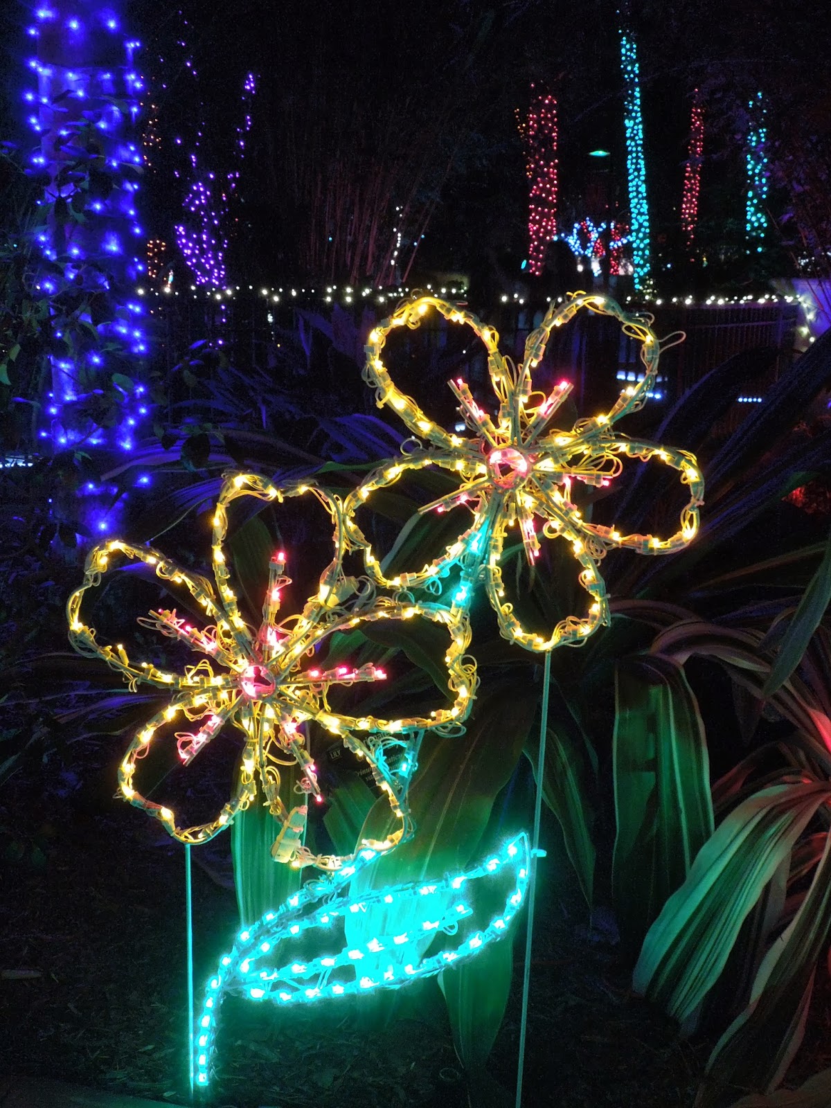 Sweet Escapes Christmas in the Gardens