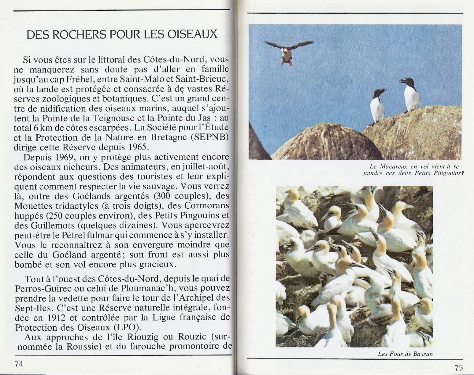 Leçons de choses: Au bord de la mer (grand format pour grand écran)