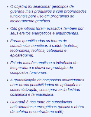 O trabalho desenvolvido