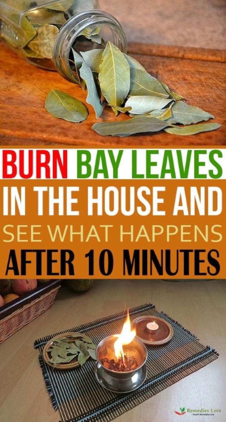Burn Bay Leaves in The House And See What Happens After 10 Minutes