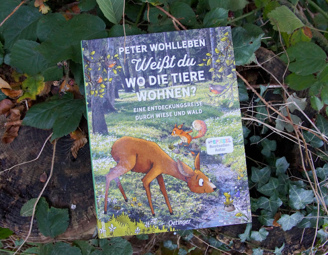 Im Wald unterwegs: "Weißt Du, wo die Tiere wohnen?" Ein Kindersachbuch ab 6 Jahren, zum Lesen und Vorlesen.