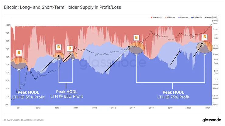 Разные пики HODL и прогноз на этот год Разные пики HODL