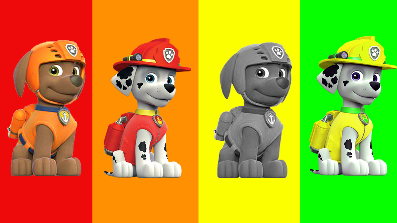 MashaOso Juego: Paw Patrol Aprender Colores y Numeros En Español Latino ...
