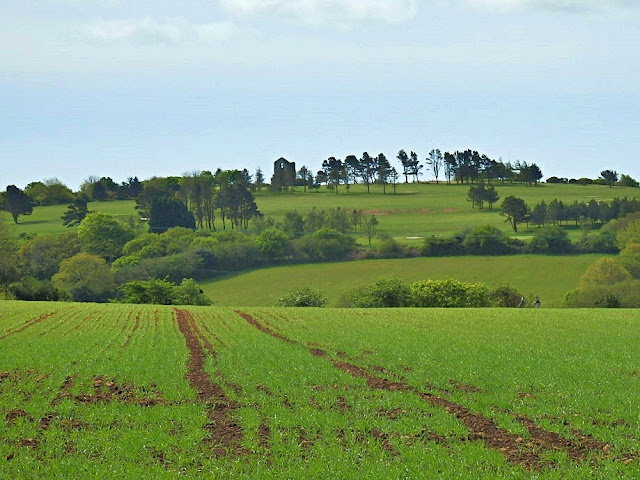 Green Fields, Cornwall
