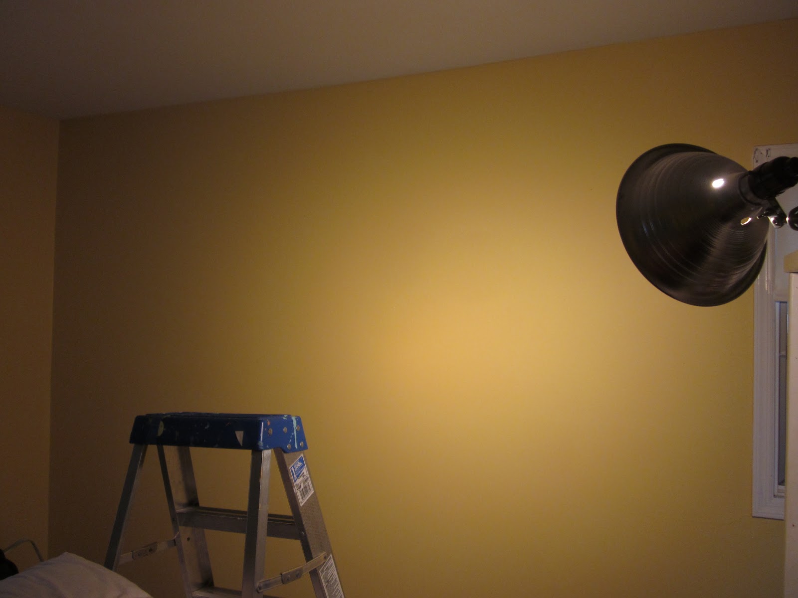 Painting a Room With Dutch Boy Paint