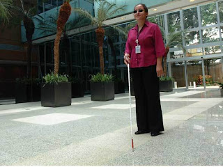 Pessoa com deficiência visual