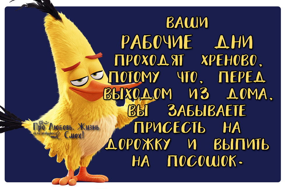 ваши рабочие дни проходят. как прошел день картинки. сначала было хорошо потом очень. прикол дня. начались рабочие будни.