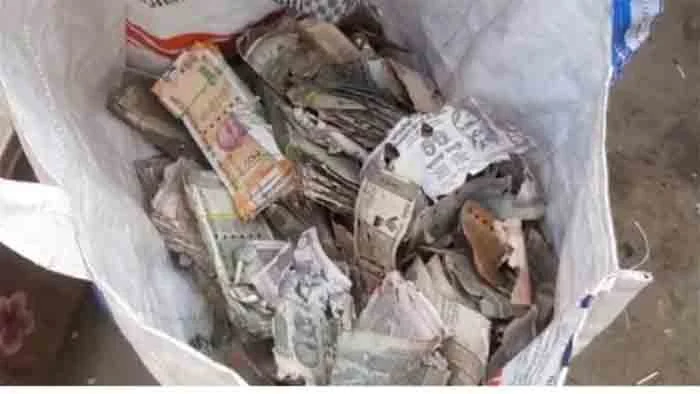 Bangalore, News, National, Police, Bank, Andhra trader hides his life’s savings in trunk, termites finish off Rs 5 lakh