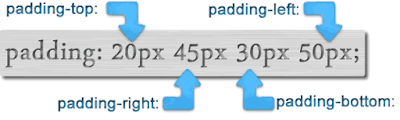 Mengenal Padding CSS - TONI | BLC Telkom