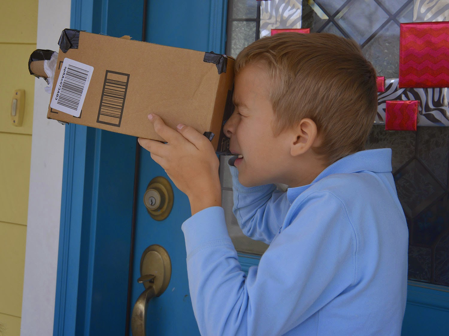 A school of fish Making a pinhole camera