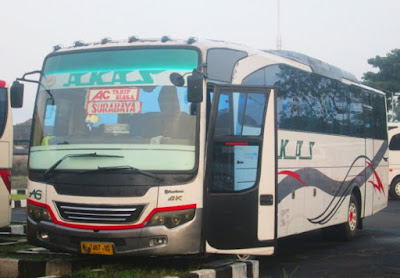 Bus Surabaya Probolinggo