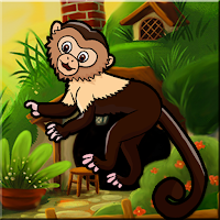 Squirrel Monkey Escape Walkthrough