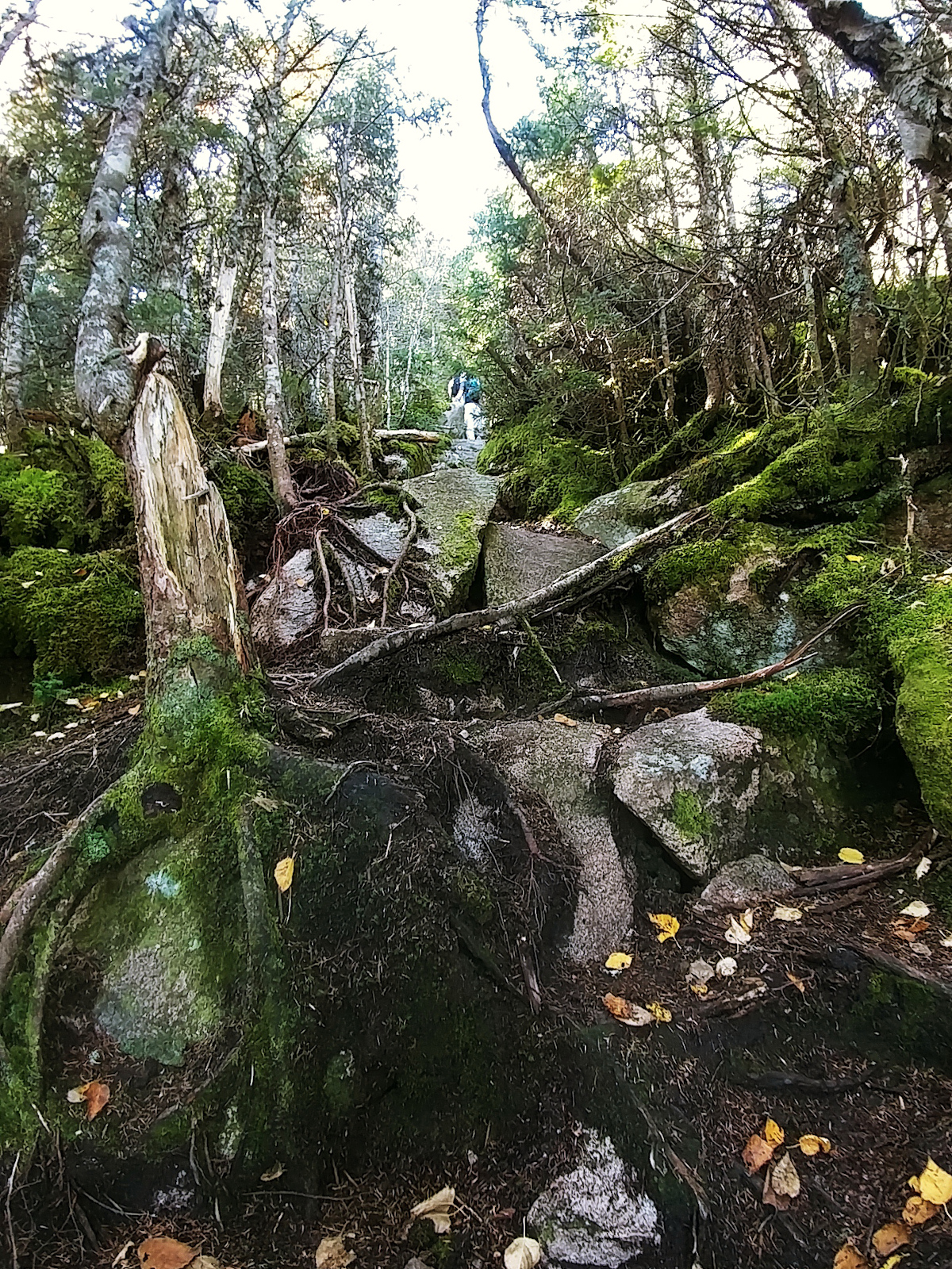 A Hiker's Guide to the NH48 Tripyramids Loop