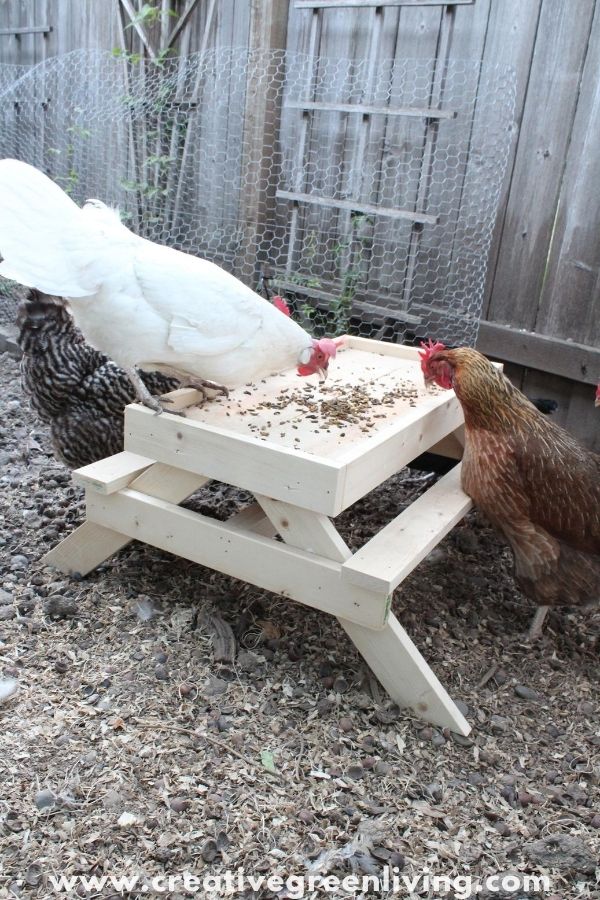 How to make a DIY "Chicknic Table" Plans and stepby step directions to make a picnic table