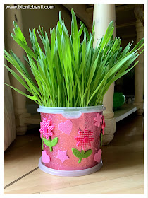 Cat Grass in Happy Grass Pots @BionicBasil® Meowing on Mondays BBHQ