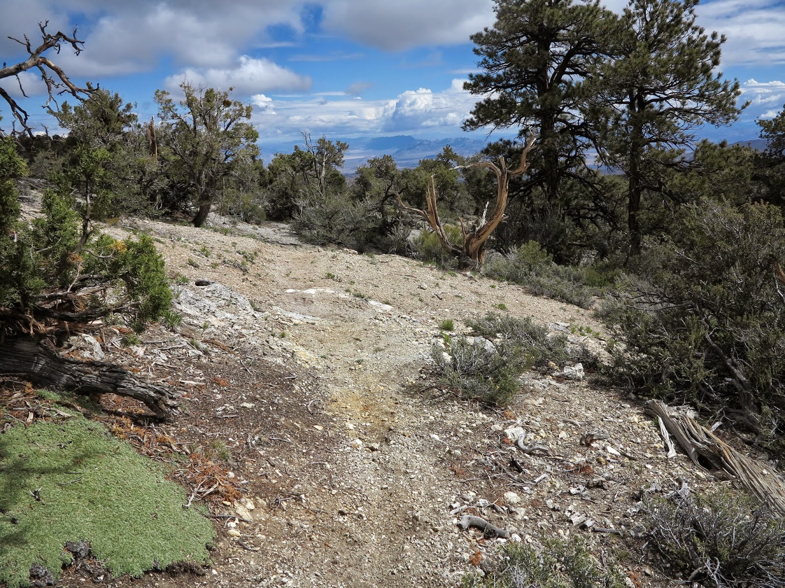 Around the Bend Friends ® Mud Springs 5/24/15