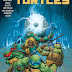 Teenage Mutant Ninja Turtles #41 IDW