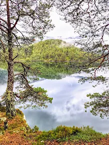 Road trip Norway: trees reflected in the water at a picnic spot near Styrn