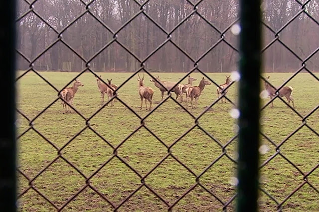 Stadt Bei Koln Mulheim Koln