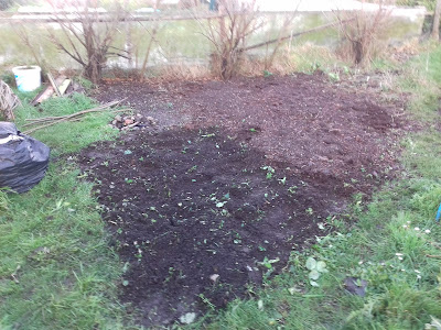 Allotment Growing - Potato Bed
