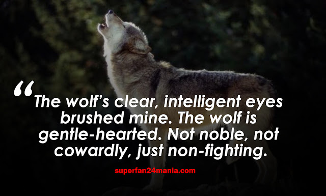 "The wolf’s clear, intelligent eyes brushed mine. The wolf is gentle-hearted. Not noble, not cowardly, just non-fighting."