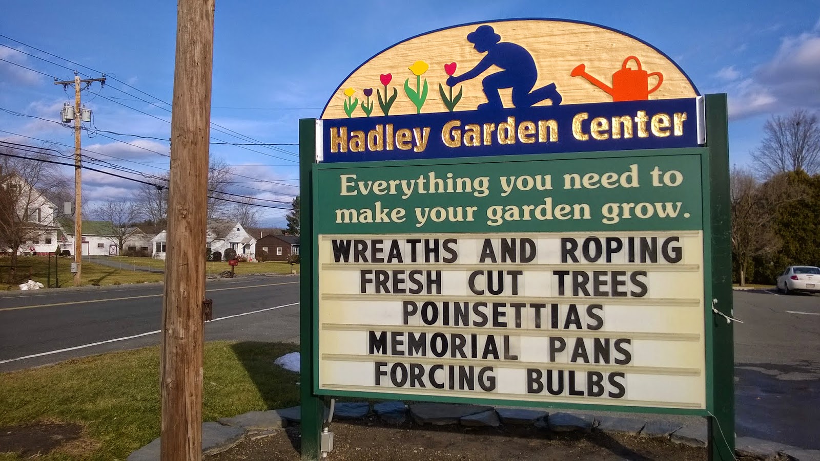 Serendipitous Horticulture Adventures in the Polly Mobile 2 Exploring