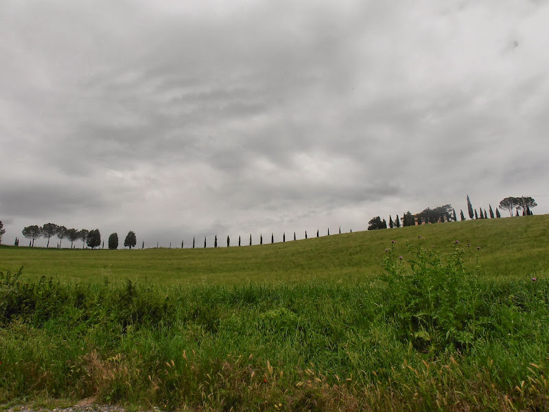 Día 3. La Val D'Orcia: Pienza, Montalcino y San Quirico - Mi ruta por la Toscana (1)