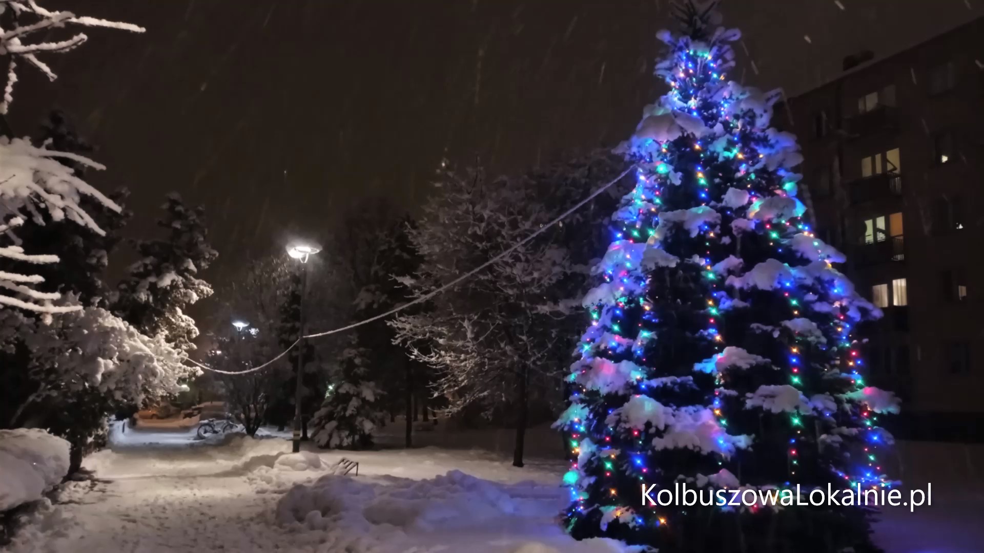 Kolbuszowa pod śniegiem - zdjęcie nr 12.