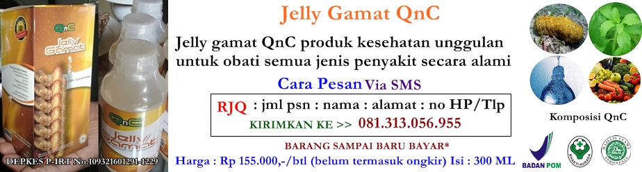 jelly gamat QnC