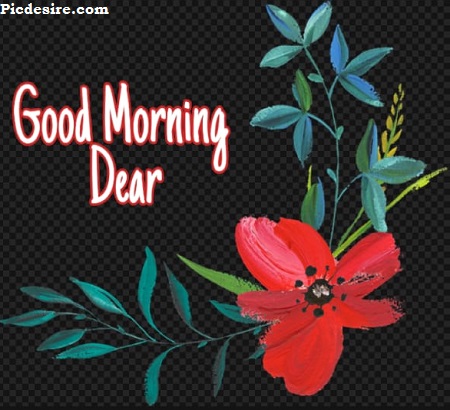 Good Morning Dear | 30 Good Morning My Dear Images Good Morning Dear | 30 Good Morning My Dear Images