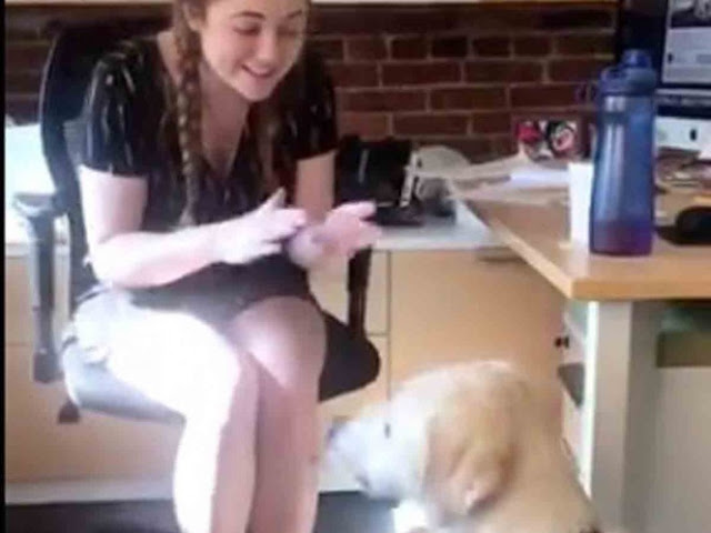 Chica le enseña lengua de señas a su perrita sorda